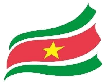 Surinaams Olympisch Comité logo