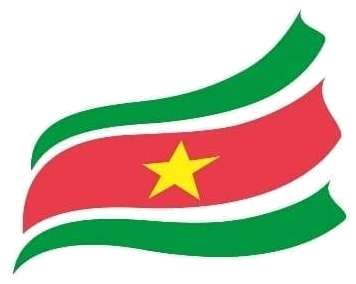 Surinaams Olympisch Comité logo